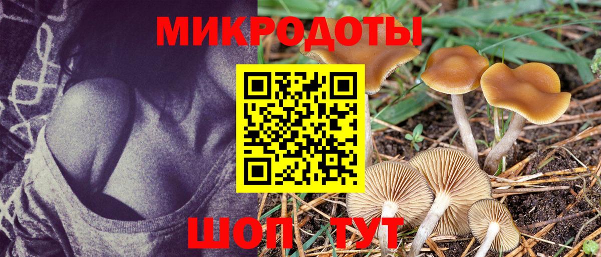 Галлюциногенные грибы прущие грибы Среднеуральск